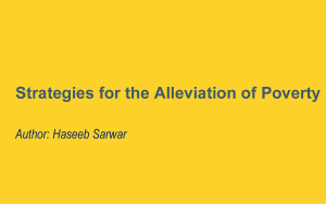 Strategies for the Alleviation of Poverty