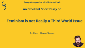 Feminism is not really a Third World issue